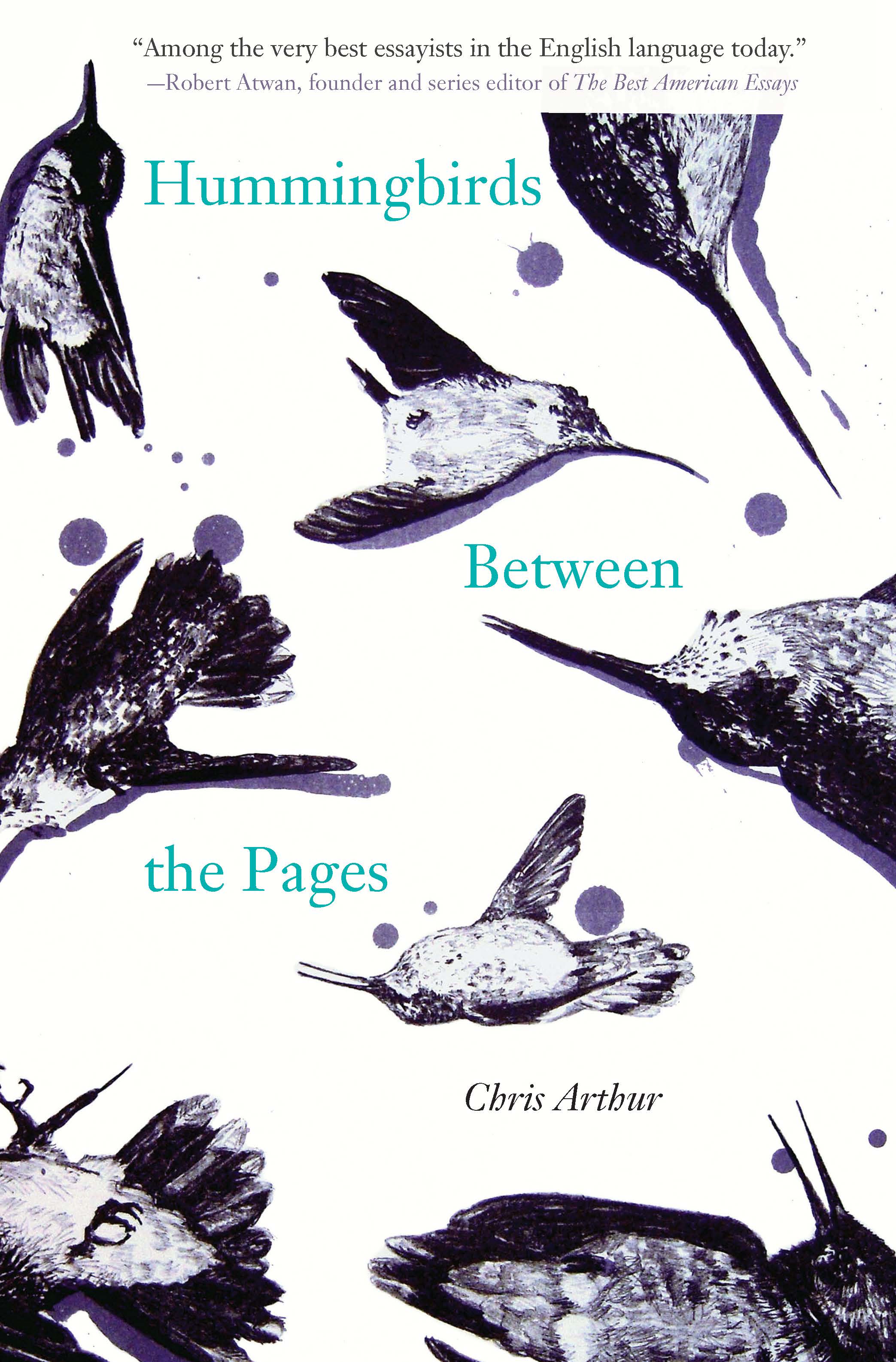 Hummingbirds Between the Pages cover