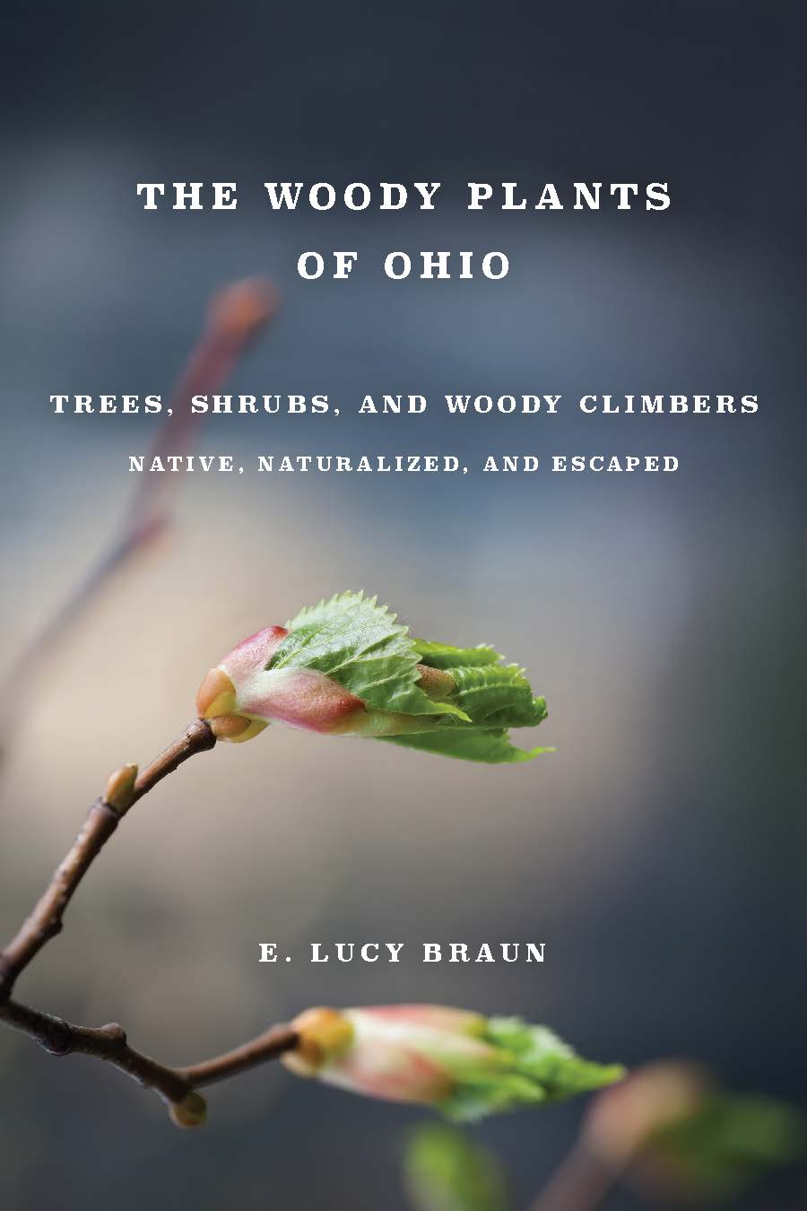 The Woody Plants of Ohio: Trees, Shrubs, and Woody Climbers: Native, Naturalized, and Escaped cover