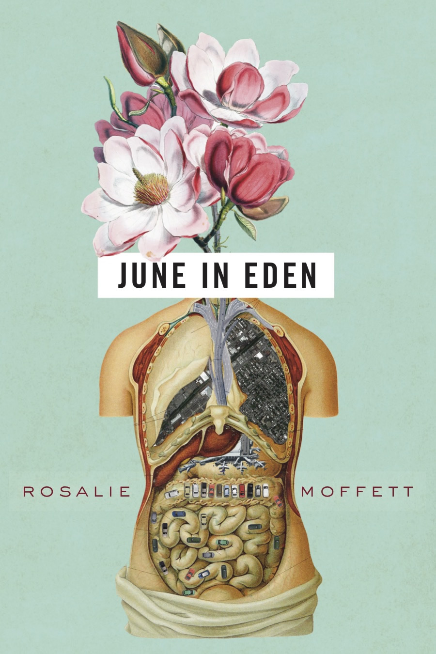 June in Eden cover