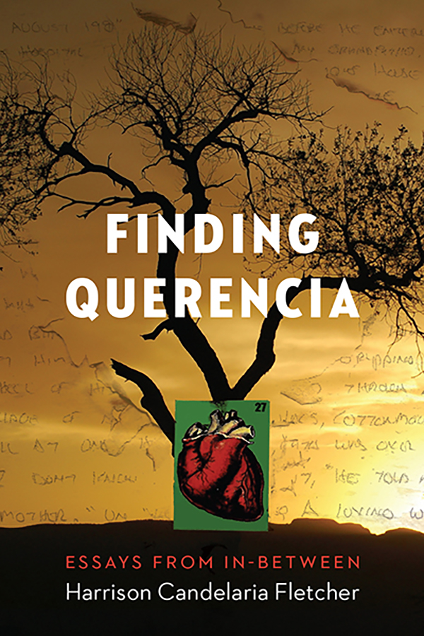 Finding Querencia: Essays from In-Between Book Cover