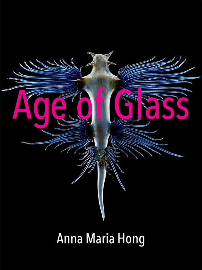 Age of Glass book cover