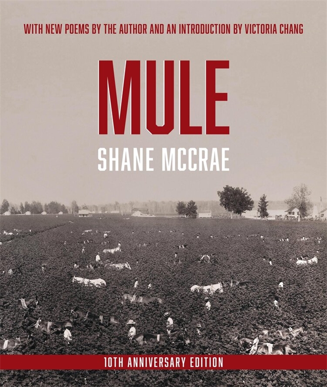 Mule cover
