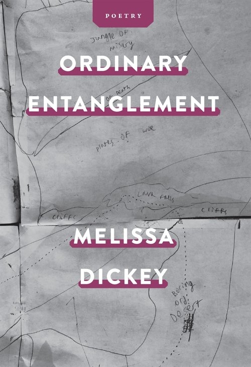 Ordinary Entanglement book cover