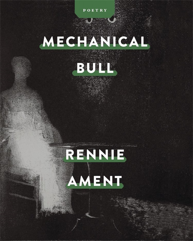 Mechanical Bull book cover
